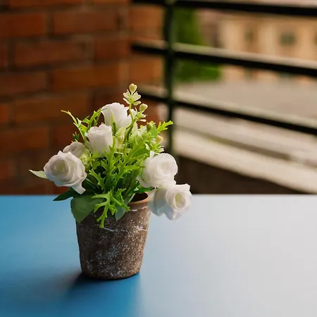 White - Lg - Sangottardo26